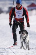 Lenk 2013